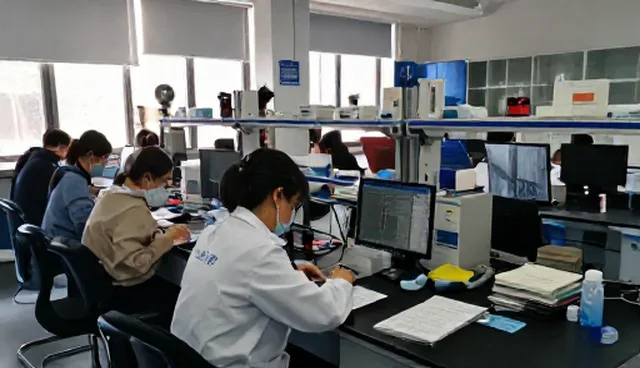 技术培训中的人员能力差异对比及其实际应用取舍