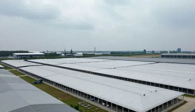 模块性能在工业自动化场景中的应用与优化