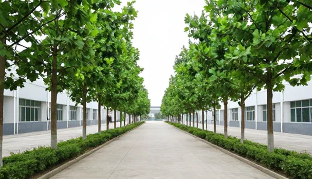 系统集成选型中的操作规范：关键要素与实践路径