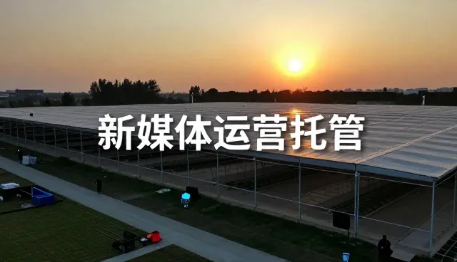 用户触达效率为何影响内容分发效果