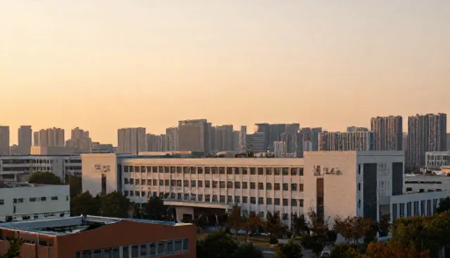 系统维护在网站运营中的关键作用与实操建议