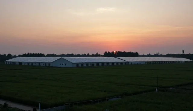 不同行业营销推广方案的适用条件解析