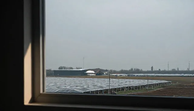 物联网接入方案在数据整理分析中的性能表现与适用场景