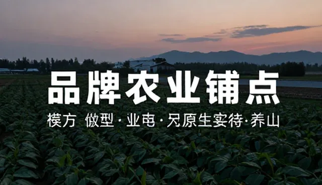 个人用户如何高效处理文案创作中的常见问题