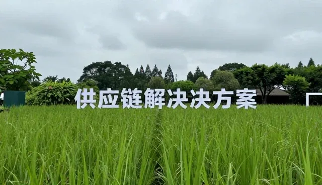 电商代运营背景下库存管理的智能化转型路径
