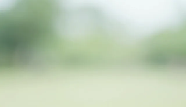 搜索引擎排名：SEO优化在电商场景中的应用分析