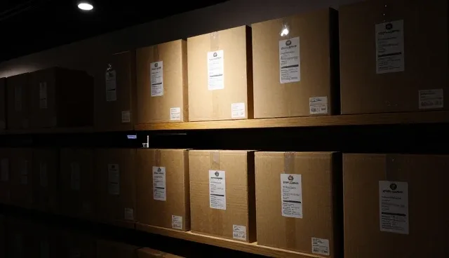 定制开发如何影响网站建设效率