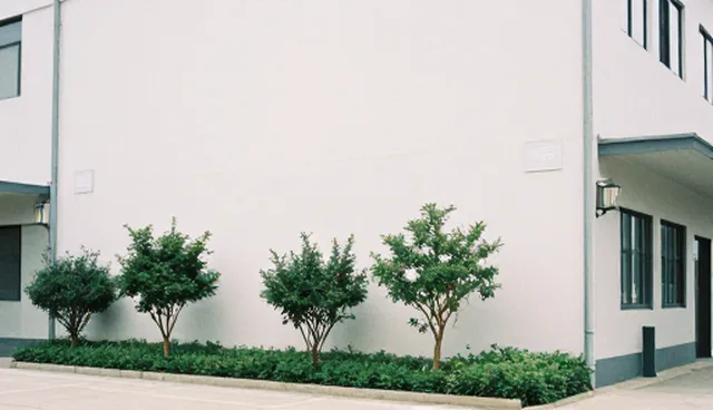 技术开发外包服务适用条件分析：定制化设计的业务发展趋势