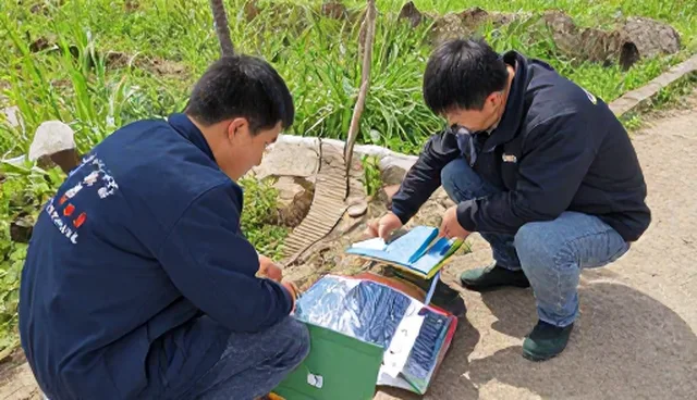 湿度变化如何影响有害生物防治效果