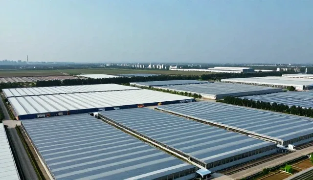 短视频内容分发中成本控制的常见问题及应对策略