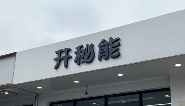 定制化开发服务适用情况与限制分析