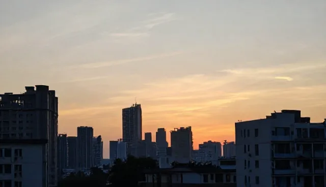 技术转让中的方案优化与维护实践