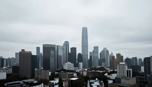 设计适配方案中的技术外包对项目结果的影响