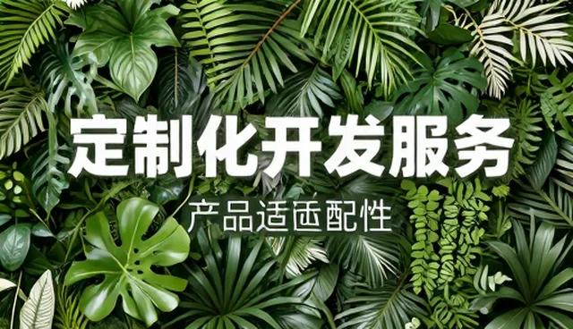 如何根据业务规模匹配定制化开发策略