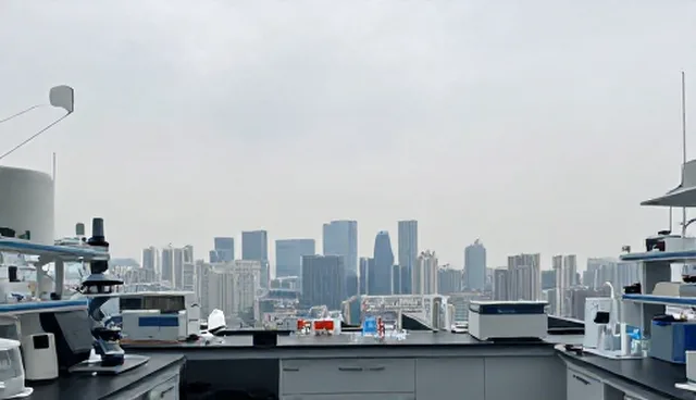 电商运营服务选型中的场景适配与效率提升