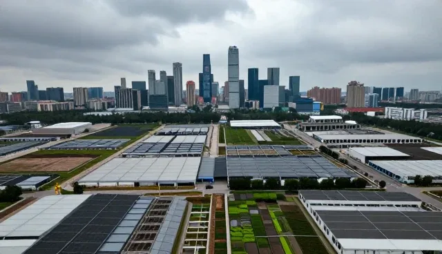 企业级数据安全平台在不同场景下的交付质量影响因素
