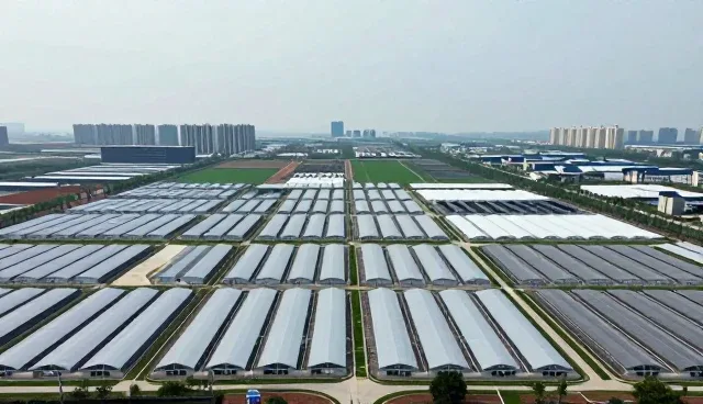 会务管理选型中的关键考量因素分析