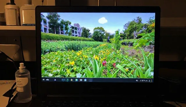 技术开发在实际应用场景中的性能问题分析
