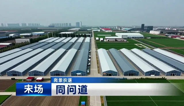 提升品牌推广效率的关键策略与信息整合实践