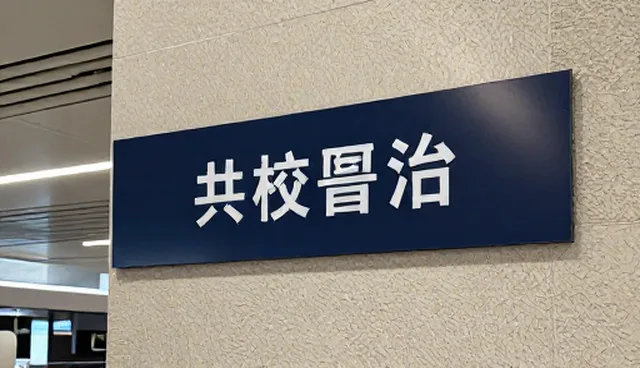 如何免费做网站：澄清常见理解误区