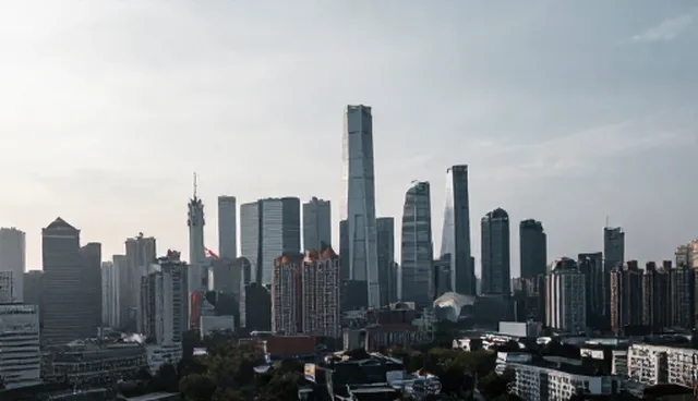 数据处理场景中信息咨询如何精准匹配项目需求