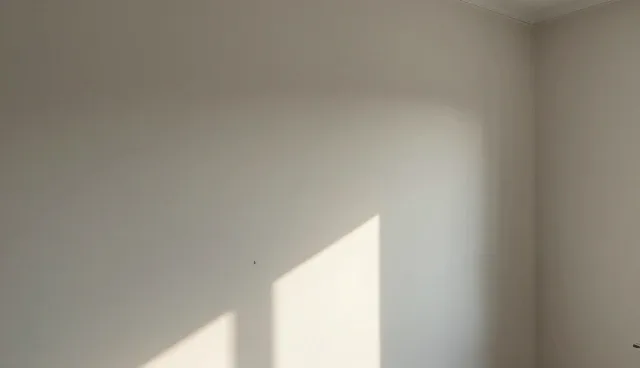 视频剪辑行业趋势下的品牌推广新机遇