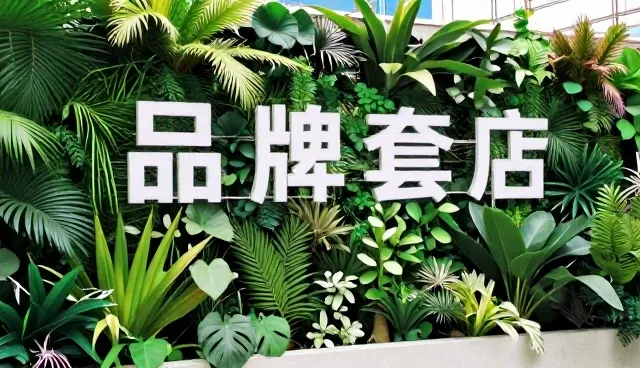 如何通过内容创意提升品牌宣传片制作效果