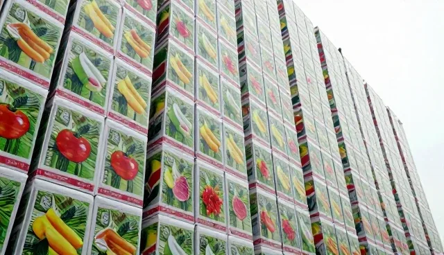 畜禽养殖中农产品销售环节常见问题及应对策略