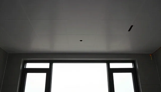 集成吊顶材料适配的使用与维护建议