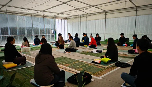 体检异常如何通过康复指导改善，适用情况与限制分析
