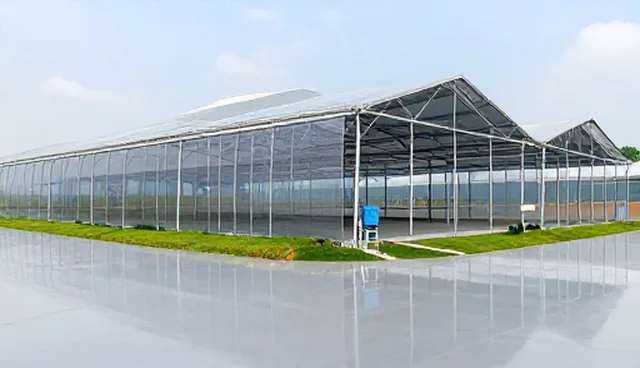 企业转型中的市场调研工具选择与应用策略