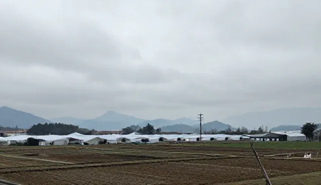 技术转让适配方案中地区选择的取舍分析