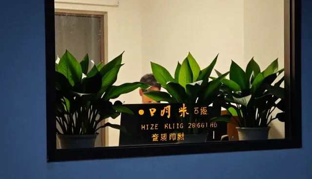 技术选型中成本控制的适配方案分析