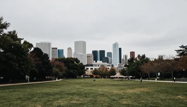 企业策划中使用与维护建议的实践场景分析