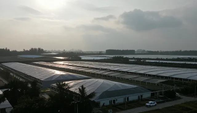 邢台网站建设，涵盖视频剪辑内容分发的全面解析