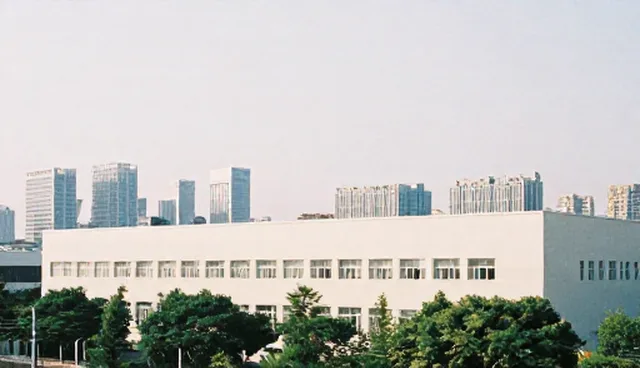 企业管理咨询如何通过信息优化流程提升效率