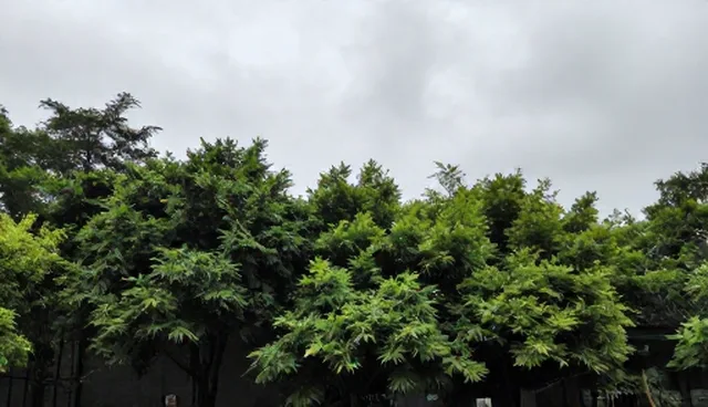 外墙清洗如何融入社区家政服务生态