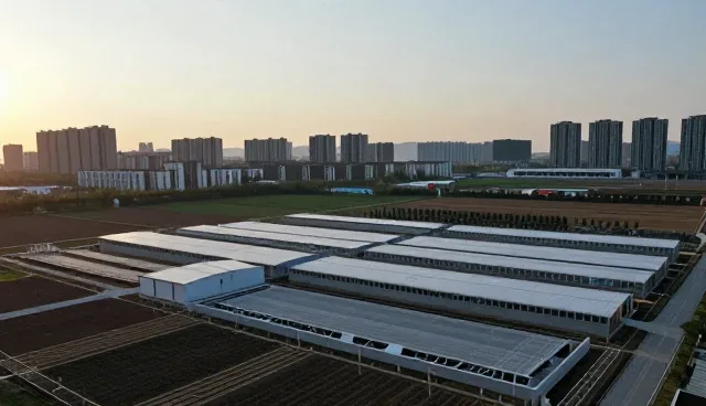 局部改造中的材料选择常见误区与应对策略