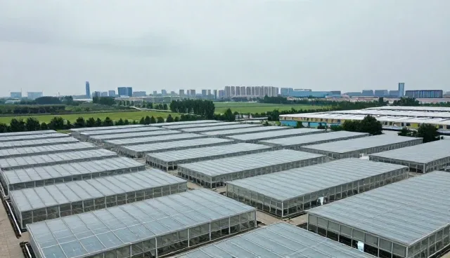 不孕不育诊疗中的健康管理实践与建议