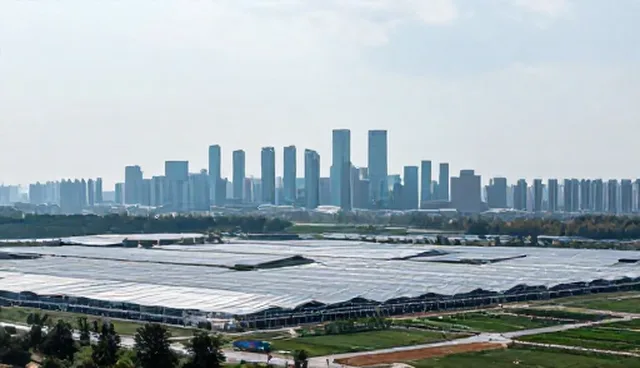 技术咨询中常见误区影响项目效果的原因分析