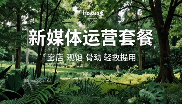 新媒体运营趋势下的效率提升路径分析