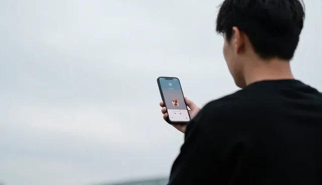 宠物健康管理平台如何兼顾性能与适用条件