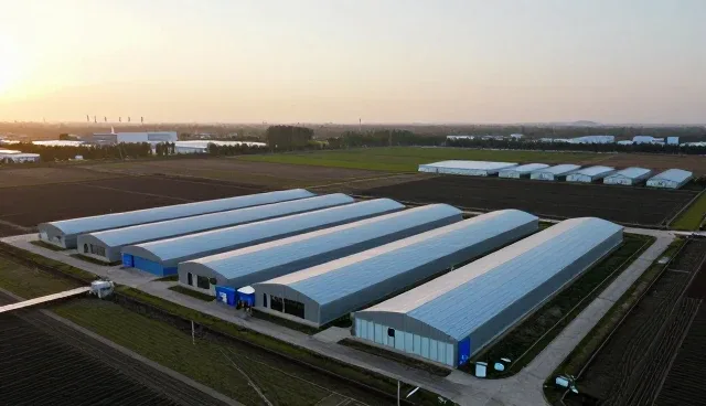 技术选型中的核心考量与实际应用分析
