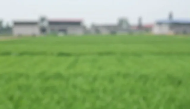 中小客户影视制作中的常见问题及应对建议