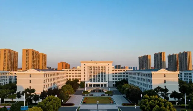 如何提升信息查询平台的使用效率？
