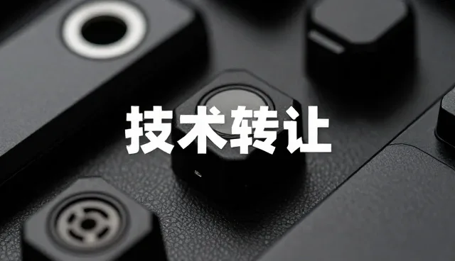 技术服务选型中的核心关注点与实际应用