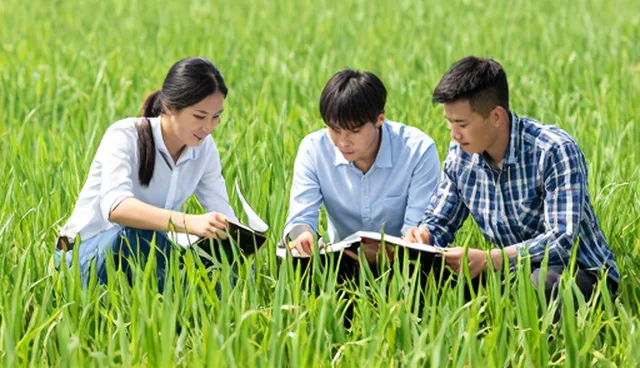 提升设备效率的关键：种植技术咨询套餐实用指南