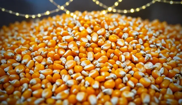 农产品收购中的常见问题及使用建议