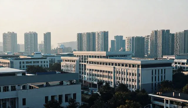 适用边界：查询更新策略在哪些场景下有效