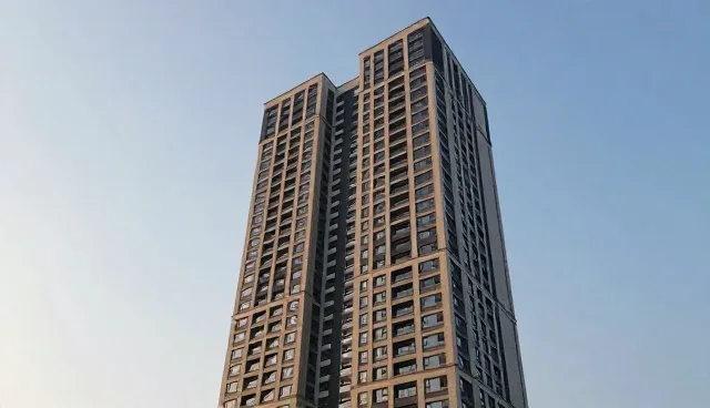 短视频直播运营在内容更新中的关键作用分析
